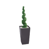 plante_entree_bureau_5