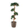 plante de bureau zen pot taupe