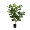 ficus_bureau