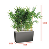 Dimensions-haie-de-bambou-pour-bureau
