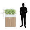 balconiere-bambou-60-cm