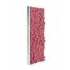 tableau-de-lichen-stabilise-rose-slim