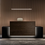 Banque_accueil_lumineuse_design