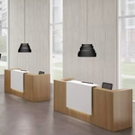 Banque_accueil_professionnelle_double