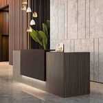 Banque_accueil_professionnelle_design
