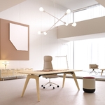 Fauteuil_manager_cuir_elegant