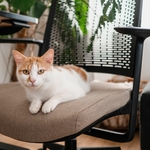 Fauteuil_bureau_réunion_confortable_durable