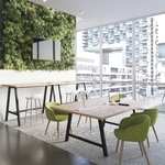 buronomic-Cohesion-Table-coworking-avec-electrification-Noir-Timber-01