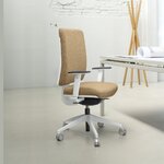 Fauteuil_bureau_professionnel_simple_design