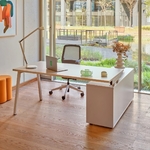 Bureau_manager_économique