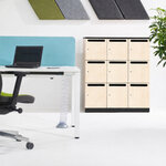 Casiers_bureau_fente_clé_professionnel