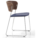 chaise-design-en-bois-tapissé-bleu-marine