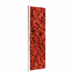 tableau-végétal-en-lichen-rouge2