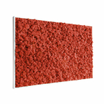 tableau-végétal-en-lichen-rouge