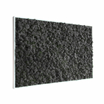 tableau-végétal-en-lichen-noir