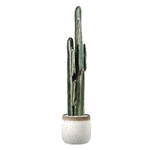 (ChamoteØ26-[Blanc])-(Cactus)
