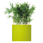 séparateur vert anis de bambou semi naturel