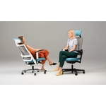 fauteuil_professionnel_haut_de_gamme