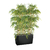 CARRARO-BAMBOU-NEW-NOIR copie