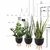 Set-de-3-pots-de-plantes-artificielles-design