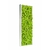 tableau-de-lichen-stabilise-vert-citron-slim
