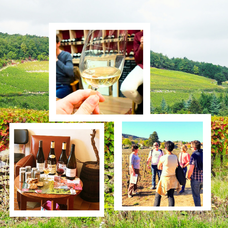 Stage/masterclass Vignes, oenologie et dégustation des vins de bourgogne – atelier œnologique Clos de Bourgogne