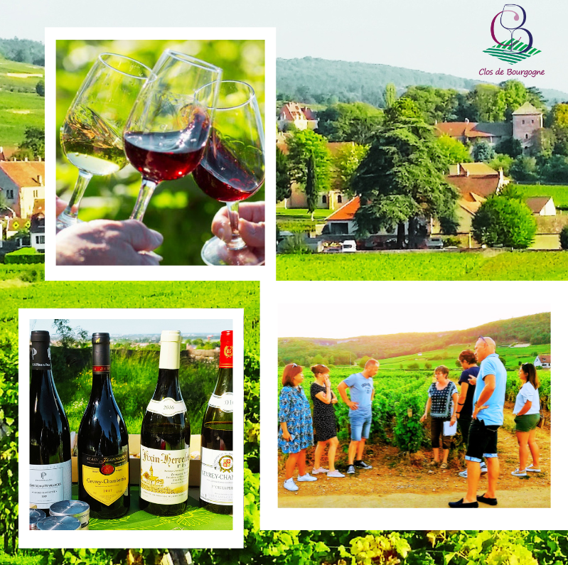 Balade découverte et cours de dégustation 2h – atelier œnologique Clos de Bourgogne