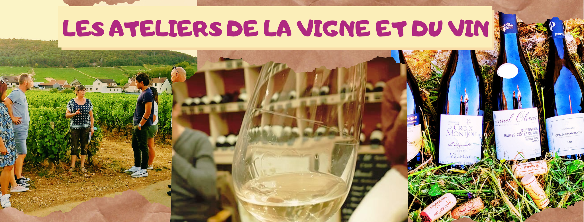 Les Ateliers de la vigne et du vin