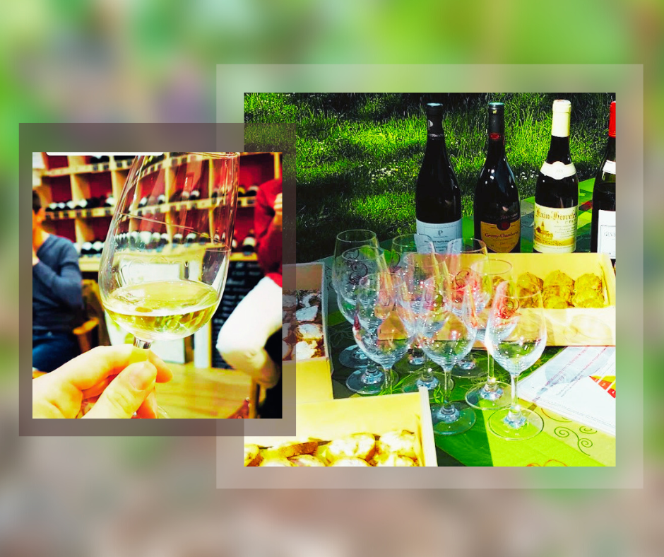 aperitif degustation dans les vignes