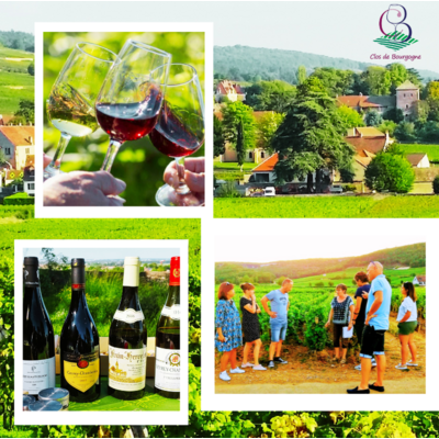u vin(4)alade secrets de vigne et de vins