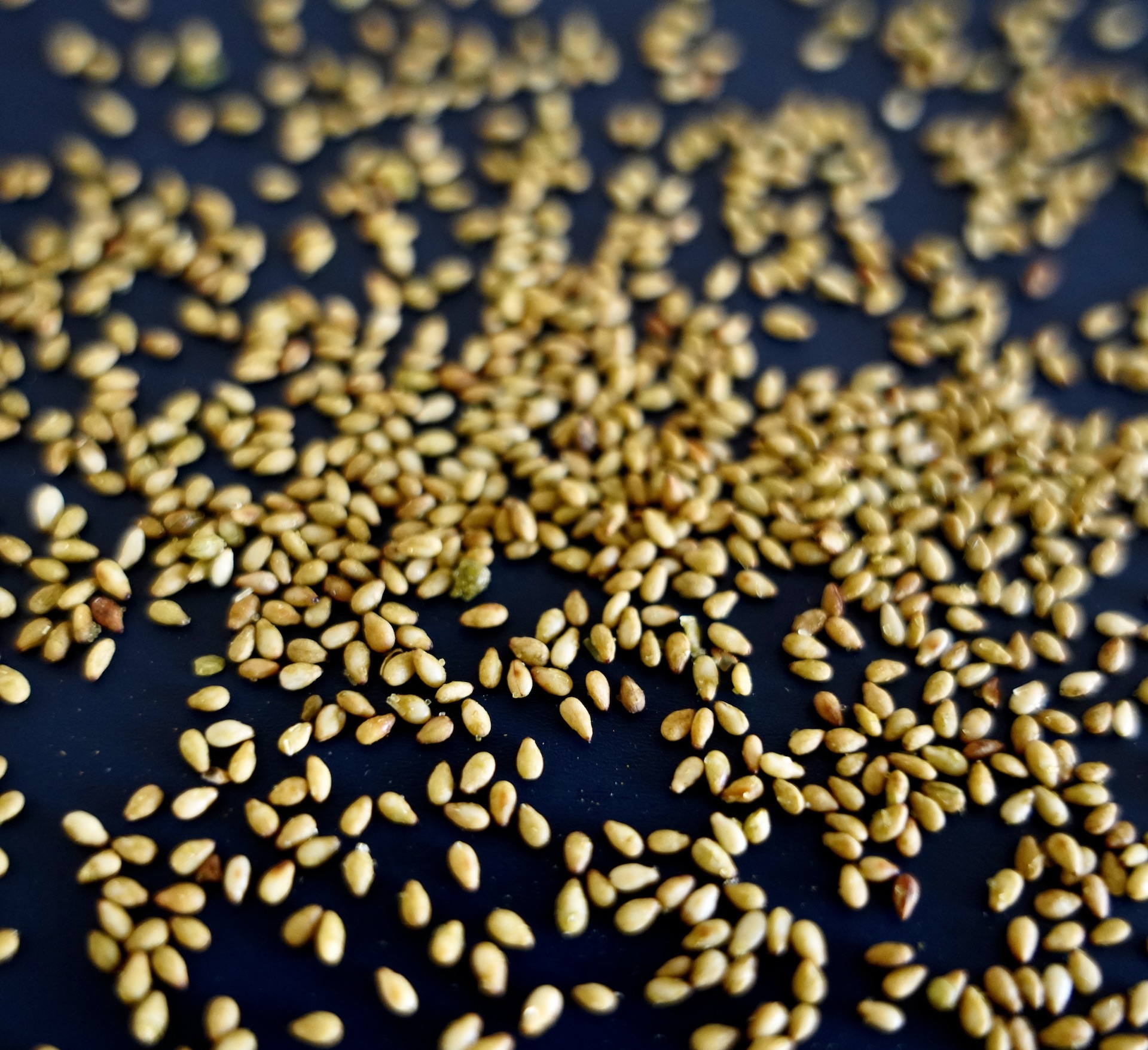 sesame-wasabi