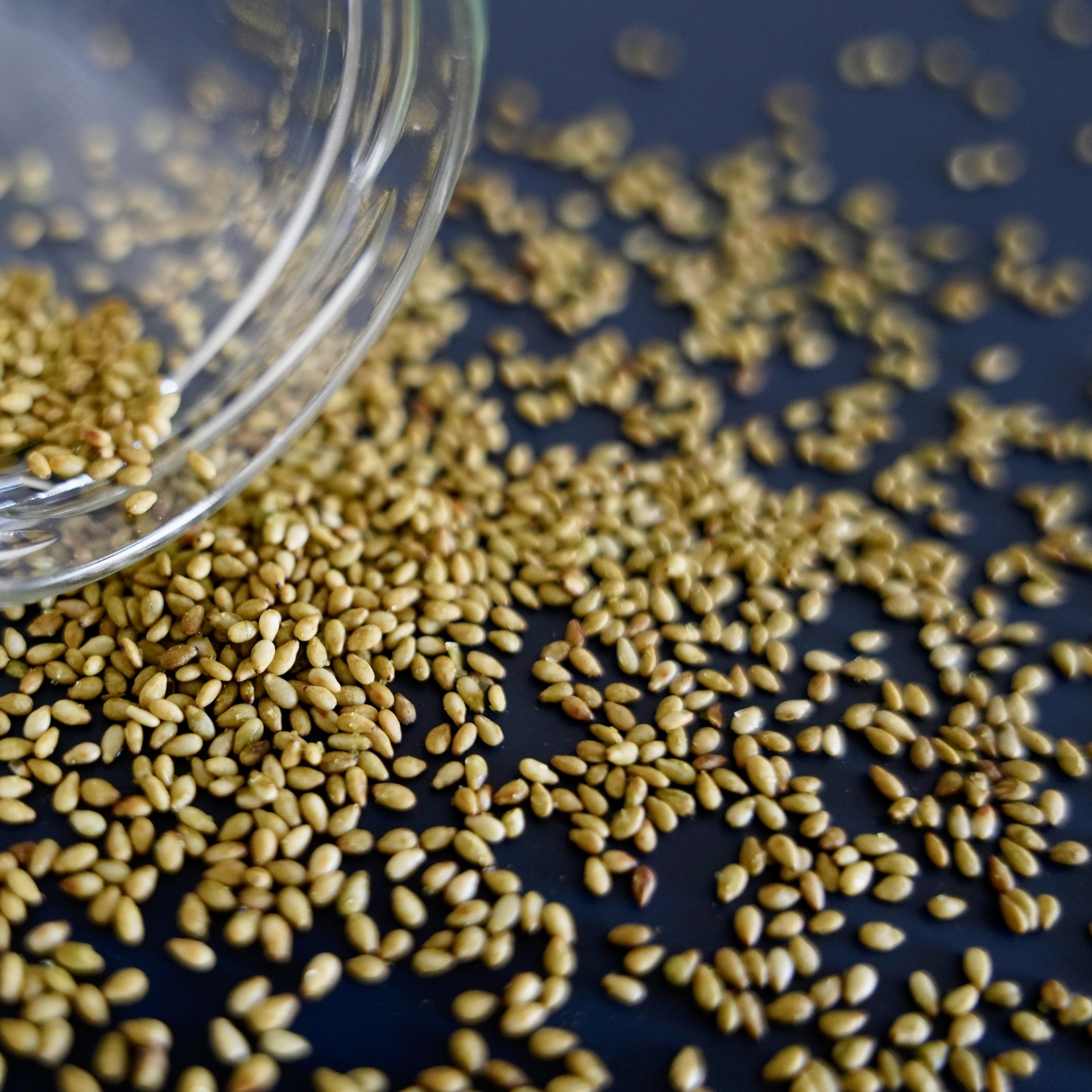 sesame-wasabi-2