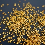 sesame-curry-2