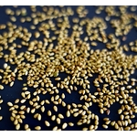 sesame-wasabi