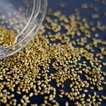 sesame-wasabi-2