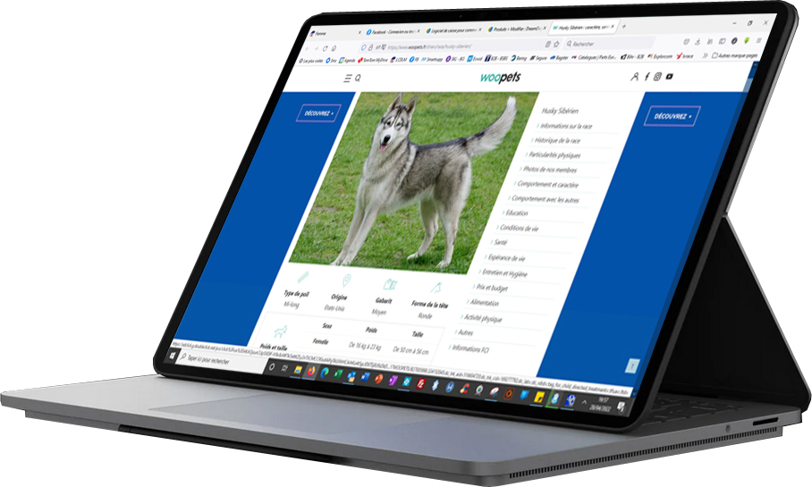 Animaux logiciel de caisse dreamdog
