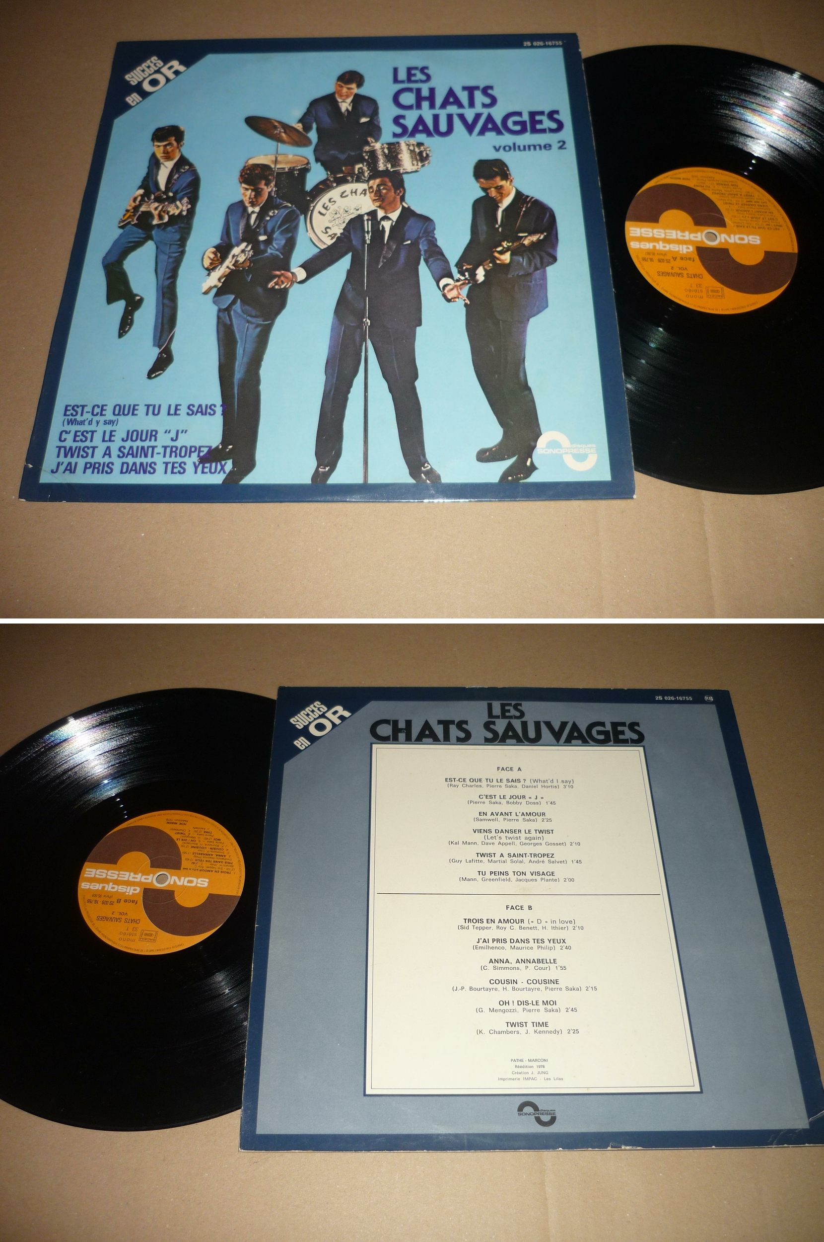 Chatssauvages16755