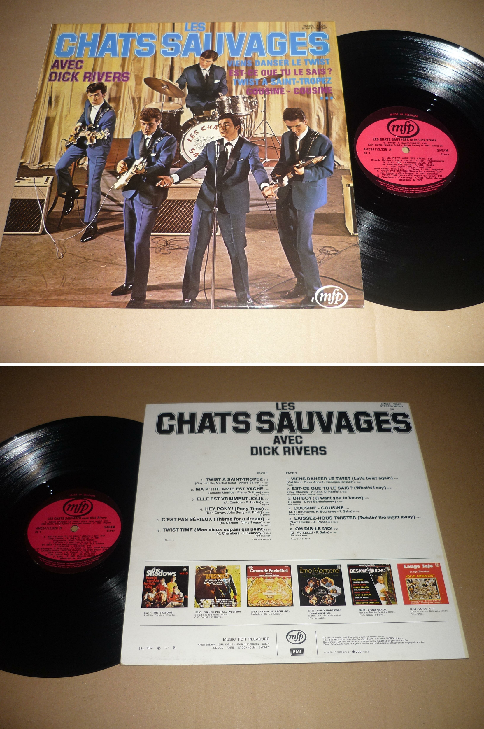 Chatssauvages13326