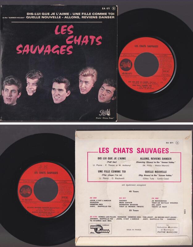chatssauvages671