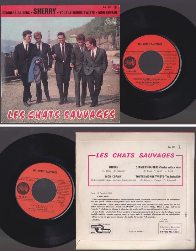 chatssauvages631