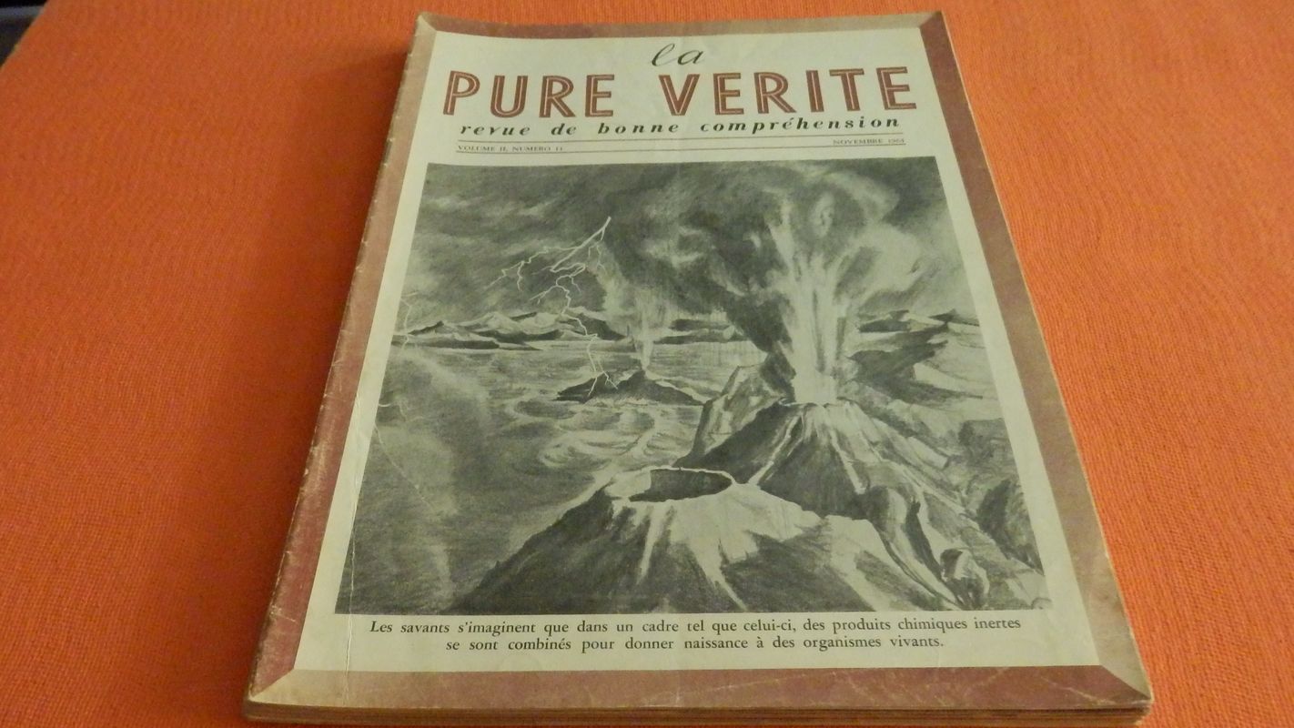 P3231818