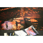 img-7145