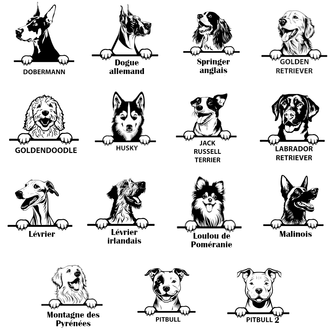 Races 3