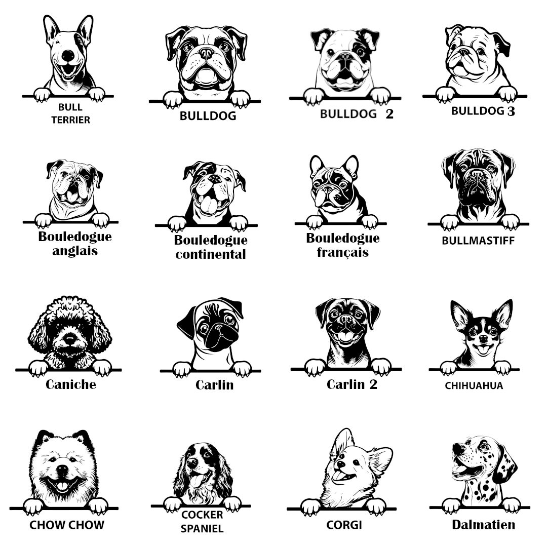 Races 2