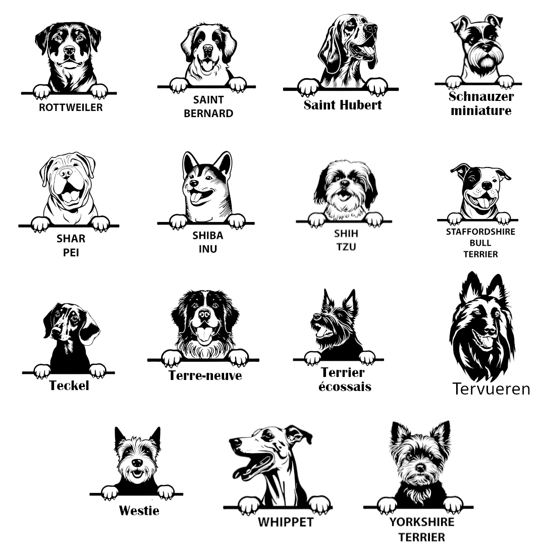 Races 4