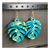 Monstera vertes or