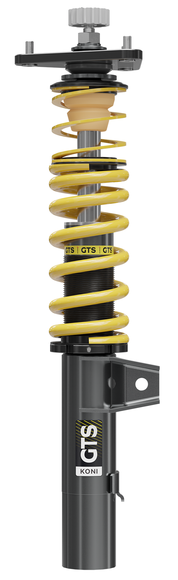 GTS_web_shop