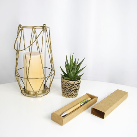 stylo-bille-nature (1)