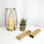stylo-bille-nature (1)