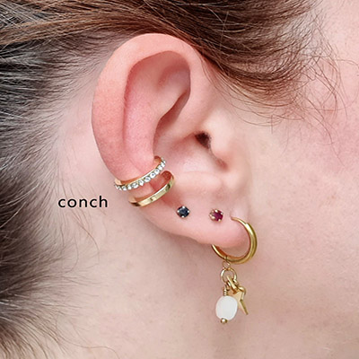 Photo oreille conch